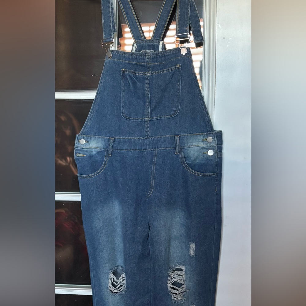Denim Distressed Overalls